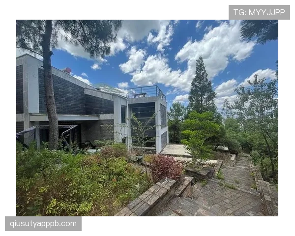 王励勤退役后住的那套上海老洋房，一个月物业费比我半年工资还高