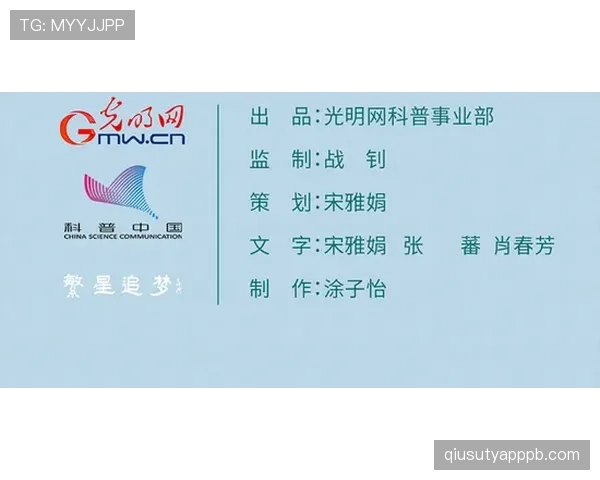 个人奖项与团队成绩：维尼修斯的生涯评估